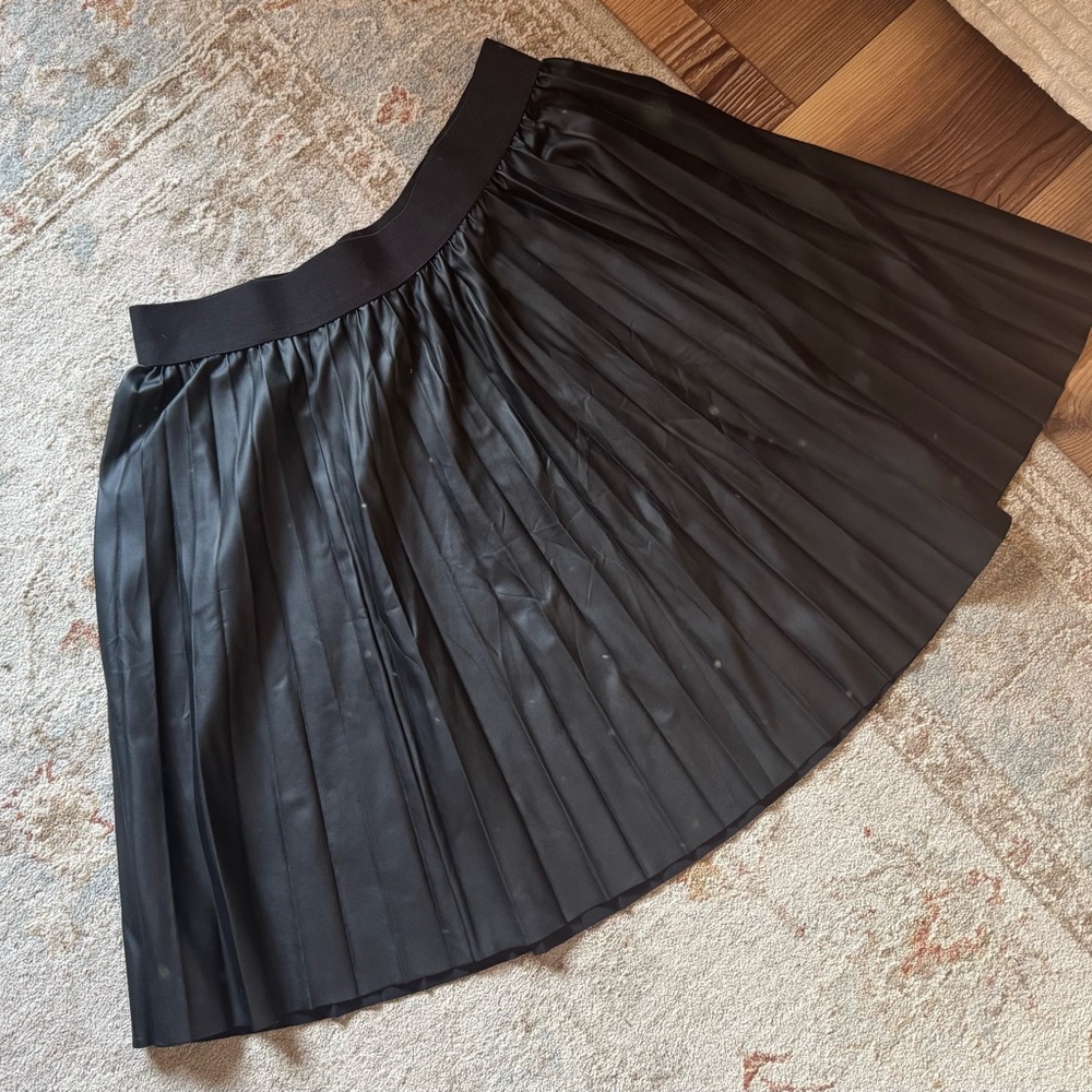 Black A-Line Pleated Skirt